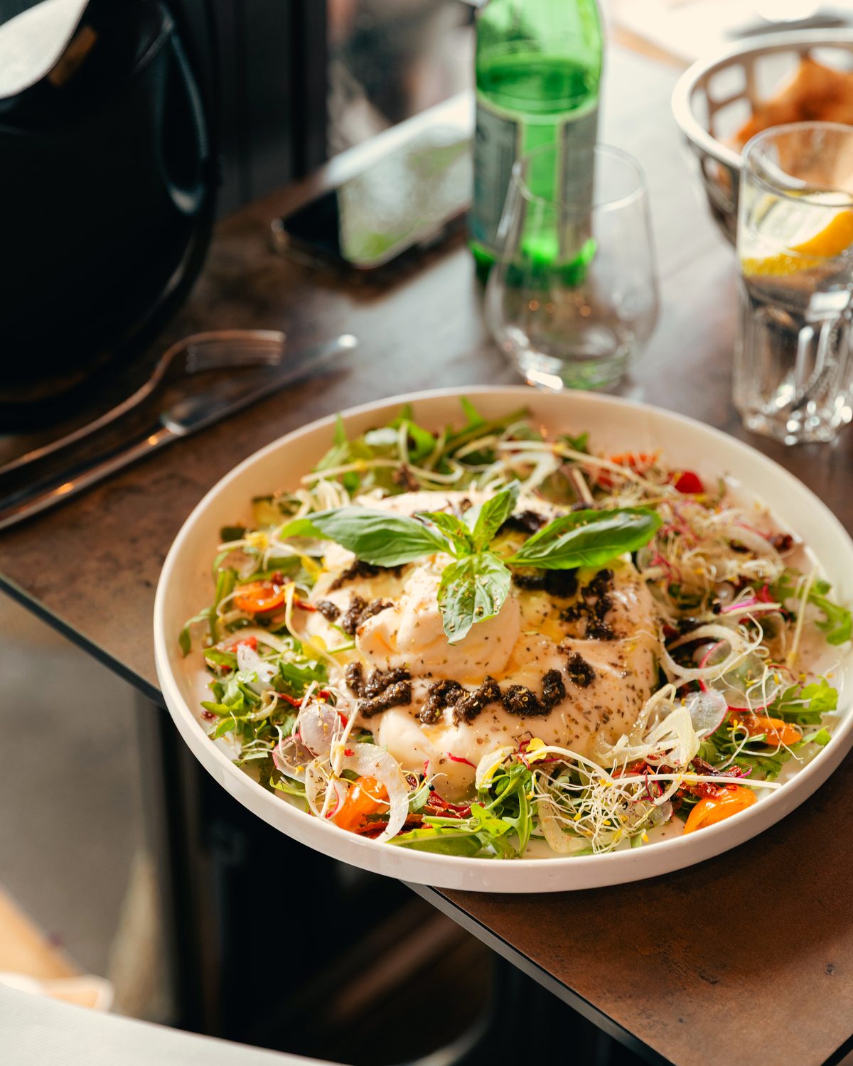 Salade composée généreuse, jeunes pousses et burrata.